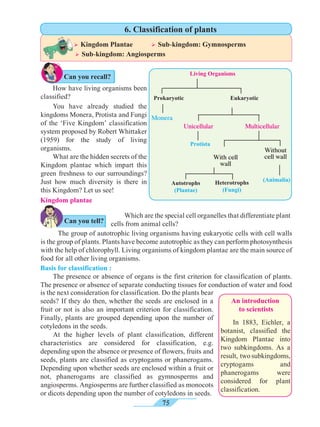 75
You have already studied the
kingdoms Monera, Protista and Fungi
of the ‘Five Kingdom’ classification
system proposed by Robert Whittaker
(1959) for the study of living
organisms.
What are the hidden secrets of the
Kingdom plantae which impart this
green freshness to our surroundings?
Just how much diversity is there in
this Kingdom? Let us see!
Kingdom plantae
	 The group of autotrophic living organisms having eukaryotic cells with cell walls
is the group of plants. Plants have become autotrophic as they can perform photosynthesis
with the help of chlorophyll. Living organisms of kingdom plantae are the main source of
food for all other living organisms.
	 In 1883, Eichler, a
botanist, classified the
Kingdom Plantae into
two subkingdoms. As a
result, twosubkingdoms,
cryptogams and
phanerogams were
considered for plant
classification.
An introduction
to scientists
Prokaryotic
Unicellular
Protista
Autotrophs
(Plantae)
Multicellular
With cell
wall
Heterotrophs
(Fungi)
Monera
Without
cell wall
(Animalia)
Eukaryotic
Living Organisms
Which are the special cell organelles that differentiate plant
cells from animal cells?
How have living organisms been
classified?
Basis for classification :
The presence or absence of organs is the first criterion for classification of plants.
The presence or absence of separate conducting tissues for conduction of water and food
Ø Kingdom Plantae	 Ø Sub-kingdom: Gymnosperms	
Ø Sub-kingdom: Angiosperms
6. Classification of plants
Can you tell?
is the next consideration for classification. Do the plants bear
seeds? If they do then, whether the seeds are enclosed in a
fruit or not is also an important criterion for classification.
Finally, plants are grouped depending upon the number of
cotyledons in the seeds.
At the higher levels of plant classification, different
characteristics are considered for classification, e.g.
depending upon the absence or presence of flowers, fruits and
seeds, plants are classified as cryptogams or phanerogams.
Depending upon whether seeds are enclosed within a fruit or
not, phanerogams are classified as gymnosperms and
angiosperms. Angiosperms are further classified as monocots
or dicots depending upon the number of cotyledons in seeds.
Can you recall?
 