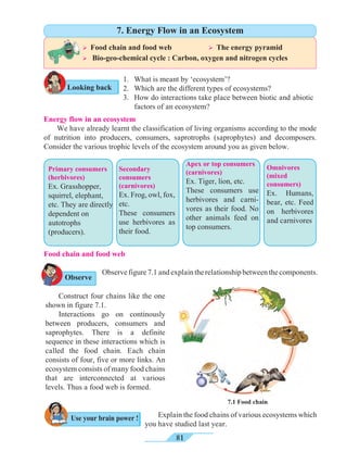 81
	 Construct four chains like the one
shown in figure 7.1.
	 Interactions go on continously
between producers, consumers and
saprophytes. There is a definite
sequence in these interactions which is
called the food chain. Each chain
consists of four, five or more links. An
ecosystem consists of many food chains
that are interconnected at various
levels. Thus a food web is formed.
Energy flow in an ecosystem
	 We have already learnt the classification of living organisms according to the mode
of nutrition into producers, consumers, saprotrophs (saprophytes) and decomposers.
Consider the various trophic levels of the ecosystem around you as given below.
Secondary
consumers
(carnivores)
Ex. Frog, owl, fox,
etc.
These consumers
use herbivores as
their food.
Apex or top consumers
(carnivores)
Ex. Tiger, lion, etc.
These consumers use
herbivores and carni-
vores as their food. No
other animals feed on
top consumers.
Primary consumers
(herbivores)
Ex. Grasshopper,
squirrel, elephant,
etc. They are directly
dependent on
autotrophs
(producers).
Food chain and food web
7.1 Food chain
Observefigure7.1andexplaintherelationshipbetweenthecomponents.
	 Explain the food chains of various ecosystems which
you have studied last year.
Observe
Use your brain power !
Looking back
Ø Food chain and food web 		 Ø The energy pyramid
Ø Bio-geo-chemical cycle : Carbon, oxygen and nitrogen cycles
7. Energy Flow in an Ecosystem
1. 	 What is meant by ‘ecosystem’?
2. 	 Which are the different types of ecosystems?
3. 	 How do interactions take place between biotic and abiotic
factors of an ecosystem?
Omnivores
(mixed
consumers)
Ex. Humans,
bear, etc. Feed
on herbivores
and carnivores
 