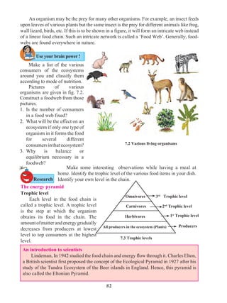 82
	 An organism may be the prey for many other organisms. For example, an insect feeds
upon leaves of various plants but the same insect is the prey for different animals like frog,
wall lizard, birds, etc. If this is to be shown in a figure, it will form an intricate web instead
of a linear food chain. Such an intricate network is called a ‘Food Web’. Generally, food-
webs are found everywhere in nature.
7.2 Various living organisans
	 Make some interesting observations while having a meal at
home. Identify the trophic level of the various food items in your dish.
Identify your own level in the chain.
The energy pyramid
Trophic level
	 Each level in the food chain is
called a trophic level. A trophic level
is the step at which the organism
obtains its food in the chain. The
amountofmatterandenergygradually
decreases from producers at lowest
level to top consumers at the highest
level.
3rd
Trophic level
2nd
Trophic level
1st
Trophic level
Carnivores
Herbivores
All producers in the ecosystem (Plants)
Omnivores
Producers
7.3 Trophic levels
	 Make a list of the various
consumers of the ecosystems
around you and classify them
according to mode of nutrition.
	Pictures of various
organisms are given in fig. 7.2.
Construct a foodweb from those
pictures.
1.	Is the number of consumers
in a food web fixed?
2.	 What will be the effect on an
ecosystem if only one type of
organism in it forms the food
for several different
consumersinthatecosystem?
3.	Why is balance or
equilibrium necessary in a
foodweb?
An introduction to scientists
	 Lindeman, In 1942 studied the food chain and energy flow through it. Charles Elton,
a British scientist first proposed the concept of the Ecological Pyramid in 1927 after his
study of the Tundra Ecosystem of the Beer islands in England. Hence, this pyramid is
also called the Eltonian Pyramid.
Use your brain power !
Research
 