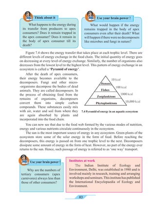 83
Humans
10 kcal
100 kcal
1000 kcal
10,000 kcal
Fishes
Zooplanktons
Phytoplanktons
	 What happens to the energy during
its transfer from producers to apex
consumers? Does it remain trapped in
the apex consumer? Does it remain in
the body of apex consumer till its
death?
	 What would happen if the energy
remains trapped in the body of apex
consumers even after their death? What
willhappeniftherewerenodecomposers
like microbes and fungi in nature?
	 Figure 7.4 shows the energy transfer that takes place at each trophic level. There are
different levels of energy exchange in the food chain. The initial quantity of energy goes
on decreasing at every level of energy exchange. Similarly, the number of organisms also
decreases from the lowest level to the highest level. This pattern of energy exchange in an
ecosystem is called a ‘Pyramid of energy’.
	 After the death of apex consumers,
their energy becomes available to the
decomposers. Fungi and other micro-
-organisms decompose the bodies of dead
animals. They are called decomposers. In
the process of obtaining food from the
remains of organisms, decomposers
convert them into simple carbon
compounds. These substances easily mix
with air, water and soil from where they
are again absorbed by plants and
incorporated into the food chain.
7.4 Pyramid of energy in an aquatic ecosystem
	 You can now see that due to the food web formed by the various modes of nutrition,
energy and various nutrients circulate continuously in the ecosystem.
	 The sun is the most important source of energy in any ecosystem. Green plants of the
ecosystem store some of the solar energy in the form of food. Before reaching the
decomposers, this energy is passed on from one trophic level to the next. Decomposers
dissipate some amount of energy in the form of heat. However, no part of the energy ever
returns to the sun. Hence, such passage of energy is referred to as ‘one way’ transport.
Institutes at work
	The Indian Institute of Ecology and
Environment, Delhi, was established in 1980 and is
involved mainly in research, training and arranging
workshopsandseminars.Thisinstitutehaspublished
the International Encyclopaedia of Ecology and
Environment.
	 Why are the numbers of
tertiary consumers (apex
carnivores) always less than
those of other consumers?
Use your brain power !
Use your brain power !
Think about it
 