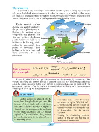 85
	 	 Carbon dioxide is released into the
atmosphere through abiotic processes like
burning of fossil fuels and wood, forest
fires and volcanic activity. Oxygen is
released into the atmosphere by the biotic
process of photosynthesis and CO2
through
respiration. The equilibrium of oxygen and
carbon dioxide gases in the atmosphere is
maitained by plants.
1.	 The carbon cycle is very effective in
the temperate region. Why is it so?
2.	 Even though the carbon content on
earth is constant, why is there a rise
in temperature due to carbon
dioxide?
3.	Identify the relationship between
carbon in the air and the rise in
atmospheric temperature.
7.6 The carbon cycle
	 Eventally, after death, all types of consumer, are decomposed by decomposers like
bacteria and fungi and carbon dioxide is released again into the atmosphere and is used
again by living organism. In this way, carbon is continuously passed on from one living
organism to another. After the death of living organisms, carbon goes to the atmosphere
and is again taken up by living organisms.
Do you know? Think about it
6 CO2
+ 12 H2
O C6
H12
O6
+ 6 H2
O + 6 O2
Sunlight
Chlorophyll
C6
H12
O6
+ 6 O2
6 CO2
+ 6 H2
O + Energy
Mitochondria
Main processes in
the carbon cycle
Absorption in water
CO2
from factories
Respiration in plants
Biotic carbon
Biotic
decompositions
Respiration in
animals
Sunlight
Fossil fuel
	 Plants convert carbon
dioxide into carbohydrates by
the process of photosynthesis.
Similarly, they produce carbon
compounds like proteins and
fats, too. Herbivores feed upon
plants. Carnivores feed upon
herbivores. In this way, biotic
carbon is transported from
plants to herbivores, from
herbivores to carnivores and
from carnivores to apex
consumers.
The carbon cycle
	 The circulation and recycling of carbon from the atmosphere to living organisms and
after their death back to the atomsphere is called the carbon cycle. Abiotic carbon atoms
are circulated and recycled into biotic form mainly through photosynthesis and respiration.
Hence, the carbon cycle is one of the important bio-geo-chemical cycles.
 