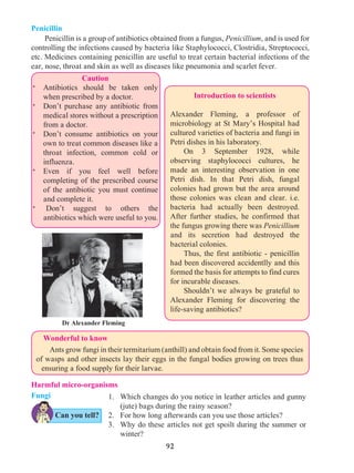 92
Harmful micro-organisms
Fungi
	 Penicillin is a group of antibiotics obtained from a fungus, Penicillium, and is used for
controlling the infections caused by bacteria like Staphylococci, Clostridia, Streptococci,
etc. Medicines containing penicillin are useful to treat certain bacterial infections of the
ear, nose, throat and skin as well as diseases like pneumonia and scarlet fever.
Penicillin
1.	 Which changes do you notice in leather articles and gunny
(jute) bags during the rainy season?
2.	 For how long afterwards can you use those articles?
3.	 Why do these articles not get spoilt during the summer or
winter?
Introduction to scientists
Alexander Fleming, a professor of
microbiology at St Mary’s Hospital had
cultured varieties of bacteria and fungi in
Petri dishes in his laboratory.
	 On 3 September 1928, while
observing staphylococci cultures, he
made an interesting observation in one
Petri dish. In that Petri dish, fungal
colonies had grown but the area around
those colonies was clean and clear. i.e.
bacteria had actually been destroyed.
After further studies, he confirmed that
the fungus growing there was Penicillium
and its secretion had destroyed the
bacterial colonies.
	 Thus, the first antibiotic - penicillin
had been discovered accidentlly and this
formed the basis for attempts to find cures
for incurable diseases.
	 Shouldn’t we always be grateful to
Alexander Fleming for discovering the
life-saving antibiotics?
Caution
*	 Antibiotics should be taken only
when prescribed by a doctor.
*	 Don’t purchase any antibiotic from
medical stores without a prescription
from a doctor.
*	 Don’t consume antibiotics on your
own to treat common diseases like a
throat infection, common cold or
influenza.
*	 Even if you feel well before
completing of the prescribed course
of the antibiotic you must continue
and complete it.
*	 	Don’t suggest to others the
antibiotics which were useful to you.
Wonderful to know
	 Ants grow fungi in their termitarium (anthill) and obtain food from it. Some species
of wasps and other insects lay their eggs in the fungal bodies growing on trees thus
ensuring a food supply for their larvae.
Dr Alexander Fleming
Can you tell?
 