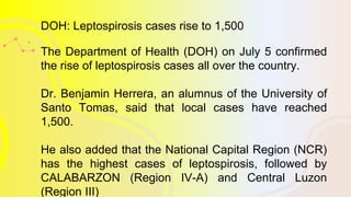 DOH: Leptospirosis cases rise to 1,500
The Department of Health (DOH) on July 5 confirmed
the rise of leptospirosis cases all over the country.
Dr. Benjamin Herrera, an alumnus of the University of
Santo Tomas, said that local cases have reached
1,500.
He also added that the National Capital Region (NCR)
has the highest cases of leptospirosis, followed by
CALABARZON (Region IV-A) and Central Luzon
(Region III)
 