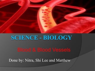 Blood & Blood Vessels
Done by: Nitra, Shi Lee and Matthew
 