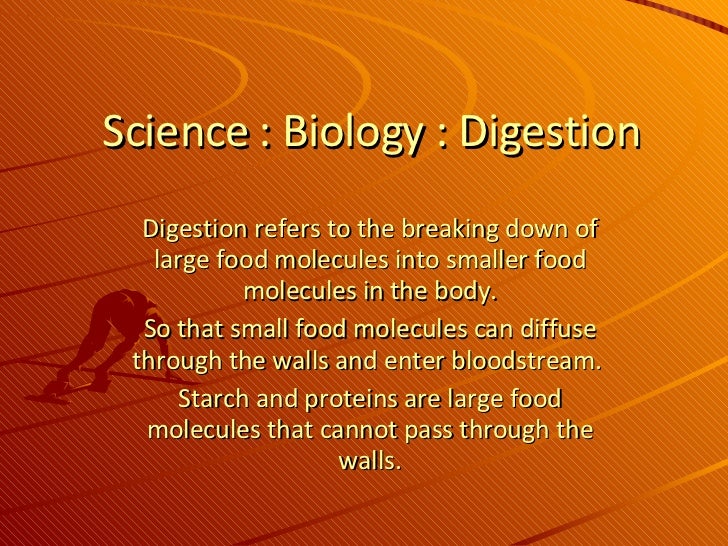calculadora metabolismo basal harris benedict mejores soluciones