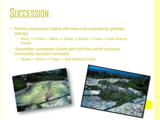 SUCCESSION


Primary succession (starts with bare rock exposed by geologic
activity)




Rock -> Lichen -> Moss -> Grass -> Shrub -> Trees -> Oak Hickory
Forest

Secondary succession (starts with soil from which previous
community has been removed)


Grass -> Shrub -> Trees -> Oak Hickory Forest

 