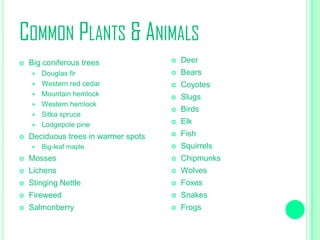 COMMON PLANTS & ANIMALS


Big coniferous trees



Deer

Douglas fir
Western red cedar
Mountain hemlock
Western hemlock
Sitka spruce
Lodgepole pine



Bears



Coyotes



Slugs



Birds



Elk



Fish



Squirrels










Deciduous trees in warmer spots


Big-leaf maple



Mosses



Chipmunks



Lichens



Wolves



Stinging Nettle



Foxes



Fireweed



Snakes



Salmonberry



Frogs

 