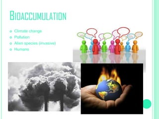 BIOACCUMULATION


Climate change



Pollution



Alien species (invasive)



Humans

 