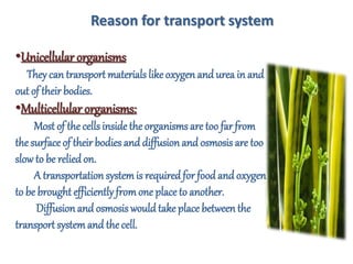 Reason for transport system
•Unicellular organisms
They can transport materials likeoxygenand urea in and
out of their bodies.
•Multicellular organisms:
Most of the cellsinsidethe organisms are too far from
the surface of their bodies and diffusionand osmosis are too
slow to be reliedon.
A transportation systemis required for food and oxygen
to be brought efficientlyfromone placeto another.
Diffusionand osmosis would take place betweenthe
transportsystemand the cell.
 