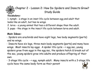 Chapter 2 - Lesson 2: How Do Spiders and Insects Grow?
                             Study Guide
Vocabulary:
1. nymph - a stage in an inset life cycle between egg and adult that
looks like an adult, but has no wings.
2. larva - a young animal that has a different shape than the adult.
3. pupa - the stage in the insect life cycle between larva and adult.

 Main Ideas:
· Spiders are arachnids and have eight legs, two body segments (parts)
 and no wings.
· Insects have six legs, three main body segments (parts) and many have
 wings. Most insects lay eggs. A spider life cycle --> egg sac, young
 spiders grow from eggs in the egg sac, the spiders hatch & break out of
 the sac, young spiders grow into adults and produce offspring of their
 own.
· 3-stage life cycle --> egg, nymph adult. Many insects with a 3-stage life
 cycle have the same body form as their parent
 