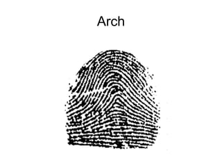 Arch