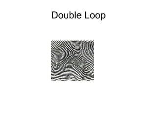 Double Loop