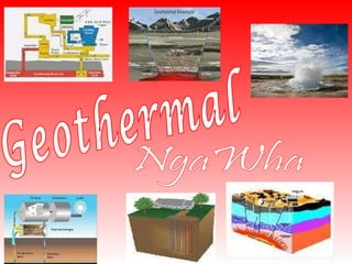 Geothermal NgaWha 