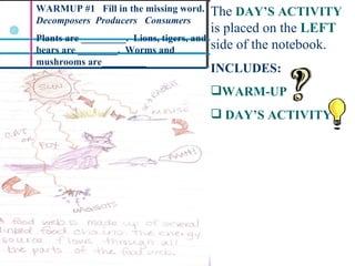 Science Interactive Notebook | PPT | Free Download