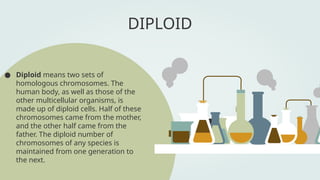 DIPLOID
● Diploid means two sets of
homologous chromosomes. The
human body, as well as those of the
other multicellular organisms, is
made up of diploid cells. Half of these
chromosomes came from the mother,
and the other half came from the
father. The diploid number of
chromosomes of any species is
maintained from one generation to
the next.
 
