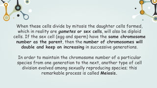 When these cells divide by mitosis the daughter cells formed,
which in reality are gametes or sex cells, will also be diploid
cells. If the sex cell (egg and sperm) have the same chromosome
number as the parent, then the number of chromosomes will
double and keep on increasing in successive generations.
In order to maintain the chromosome number of a particular
species from one generation to the next, another type of cell
division evolved among sexually reproducing species; this
remarkable process is called Meiosis.
 