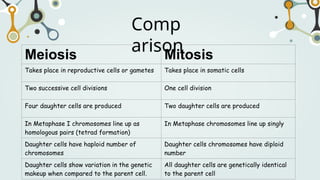 Meiosis Mitosis
Takes place in reproductive cells or gametes Takes place in somatic cells
Two successive cell divisions One cell division
Four daughter cells are produced Two daughter cells are produced
In Metaphase I chromosomes line up as
homologous pairs (tetrad formation)
In Metaphase chromosomes line up singly
Daughter cells have haploid number of
chromosomes
Daughter cells chromosomes have diploid
number
Daughter cells show variation in the genetic
makeup when compared to the parent cell.
All daughter cells are genetically identical
to the parent cell
Comp
arison
 