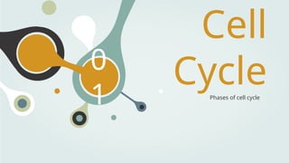 0
1
Cell
Cycle
Phases of cell cycle
 