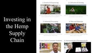 Investing in
the Hemp
Supply
Chain
 
