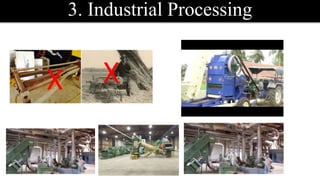 3. Industrial Processing
X X
 