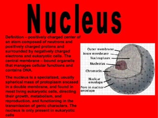 Science Presentation