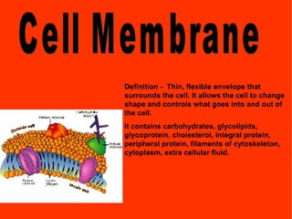 Science Presentation