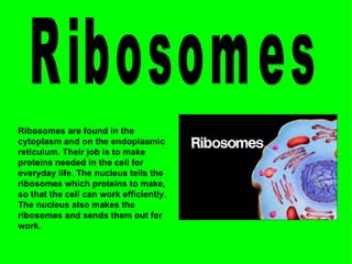 Science Presentation