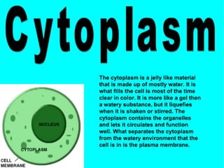 Science Presentation