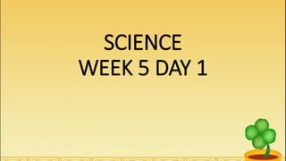 SCIENCE
WEEK 5 DAY 1
 