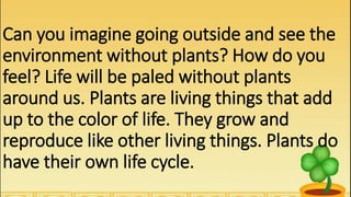 Can you imagine going outside and see the
environment without plants? How do you
feel? Life will be paled without plants
around us. Plants are living things that add
up to the color of life. They grow and
reproduce like other living things. Plants do
have their own life cycle.
 