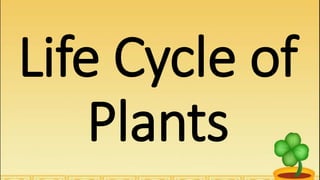Life Cycle of
Plants
 