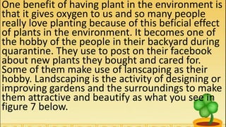 One benefit of having plant in the environment is
that it gives oxygen to us and so many people
really love planting because of this beficial effect
of plants in the environment. It becomes one of
the hobby of the people in their backyard during
quarantine. They use to post on their facebook
about new plants they bought and cared for.
Some of them make use of lanscaping as their
hobby. Landscaping is the activity of designing or
improving gardens and the surroundings to make
them attractive and beautify as what you see in
figure 7 below.
 