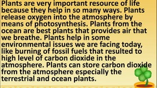 Plants are very important resource of life
because they help in so many ways. Plants
release oxygen into the atmosphere by
means of photosynthesis. Plants from the
ocean are best plants that provides air that
we breathe. Plants help in some
environmental issues we are facing today,
like burning of fossil fuels that resulted to
high level of carbon dioxide in the
atmosphere. Plants can store carbon dioxide
from the atmosphere especially the
terrestrial and ocean plants.
 
