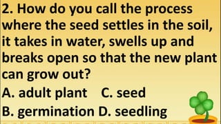 2. How do you call the process
where the seed settles in the soil,
it takes in water, swells up and
breaks open so that the new plant
can grow out?
A. adult plant C. seed
B. germination D. seedling
 