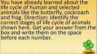 You have already learned about the
life cycle of human and selected
animals like the butterfly, cockroach
and frog. Direction: Identify the
correct stages of life cycle of animals
shown here. Get your answer from the
box and write them on the space
before each number.
 