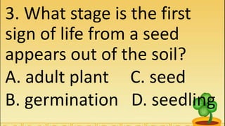 3. What stage is the first
sign of life from a seed
appears out of the soil?
A. adult plant C. seed
B. germination D. seedling
 