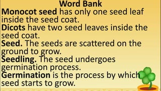 Word Bank
Monocot seed has only one seed leaf
inside the seed coat.
Dicots have two seed leaves inside the
seed coat.
Seed. The seeds are scattered on the
ground to grow.
Seedling. The seed undergoes
germination process.
Germination is the process by which
seed starts to grow.
 