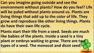 Can you imagine going outside and see the
environment without plants? How do you feel? Life
will be paled without plants around us. Plants are
living things that add up to the color of life. They
grow and reproduce like other living things. Plants
do have their own life cycle.
Plants start their life from a seed. Seeds are much
like babies of the plants. Inside a seed is a tiny
plant or embryo waiting to grow. There are two
types of a seed. The monocot and dicot seed.
 