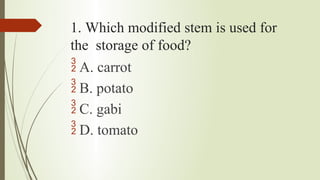 1. Which modified stem is used for
the storage of food?
 A. carrot
 B. potato
 C. gabi
 D. tomato
 