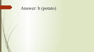 Answer: b (potato)
 