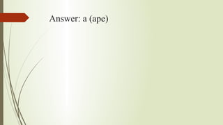 Answer: a (ape)
 