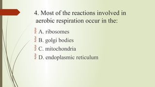4. Most of the reactions involved in
aerobic respiration occur in the:
 A. ribosomes
 B. golgi bodies
 C. mitochondria
 D. endoplasmic reticulum
 