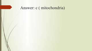 Answer: c ( mitochondria)
 