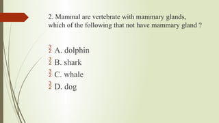 2. Mammal are vertebrate with mammary glands,
which of the following that not have mammary gland ?
 A. dolphin
 B. shark
 C. whale
 D. dog
 