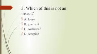 3. Which of this is not an
insect?
 A. louse
 B. giant ant
 C. cockcroah
 D. scorpion
 