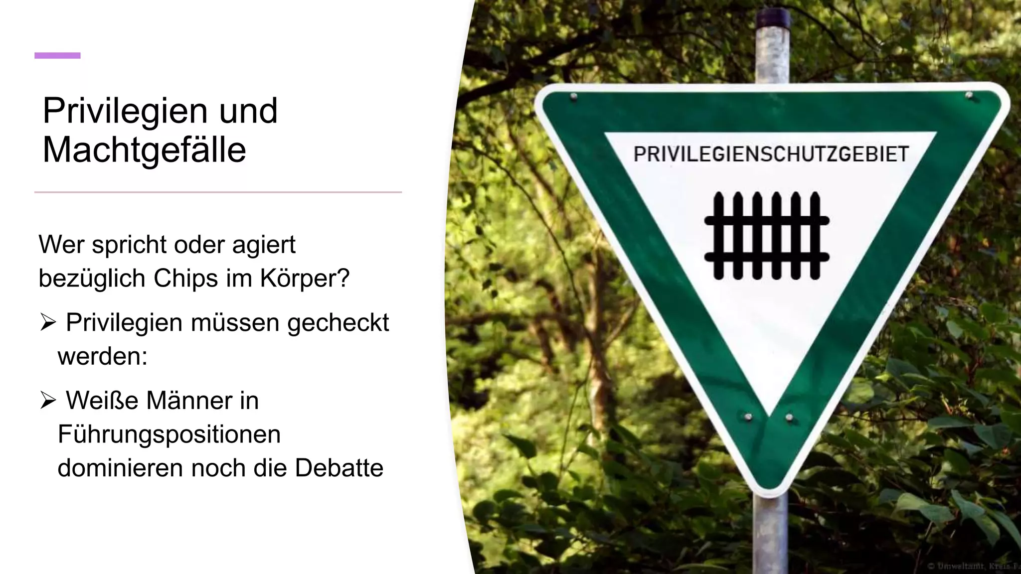 Privilegien und
Machtgefälle
Wer spricht oder agiert
bezüglich Chips im Körper?
 Privilegien müssen gecheckt
werden:
 Weiße Männer in
Führungspositionen
dominieren noch die Debatte
 