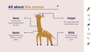 All about this animal
Spots
Neck
Venus is the
second planet from
the Sun
Height
It’s a gas giant and
has several rings
Despite being red,
Mars is a cold
place
lEGS
It’s the farthest
planet from the
Sun
 
