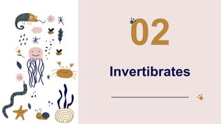 Invertibrates
02
 