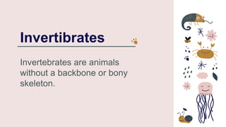 Invertibrates
Invertebrates are animals
without a backbone or bony
skeleton.
 