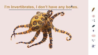 I’m Invertibrates, I don’t have any bones.
 